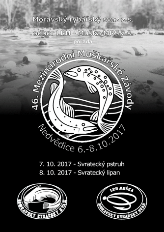 flyer web